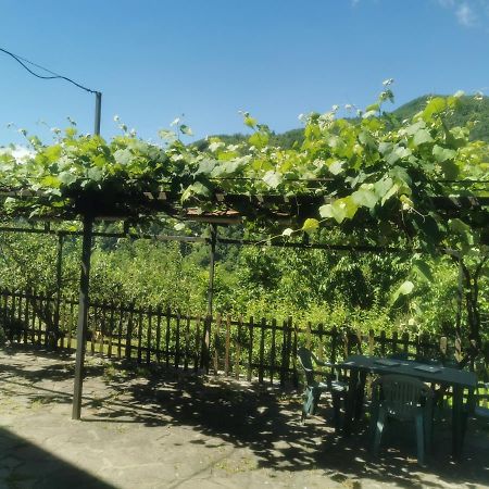 Appartamento Nel Verde San Marcello Pistoiese Exterior foto